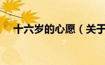 十六岁的心愿（关于十六岁的心愿简介）