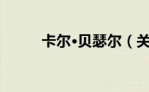 卡尔·贝瑟尔（关于卡尔·贝瑟尔）