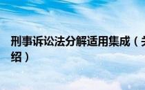 刑事诉讼法分解适用集成（关于刑事诉讼法分解适用集成介绍）