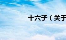 十六子（关于十六子简介）