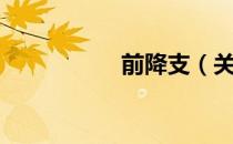 前降支（关于前降支）