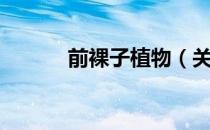 前裸子植物（关于前裸子植物）