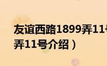 友谊西路1899弄11号（关于友谊西路1899弄11号介绍）