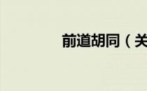 前道胡同（关于前道胡同）