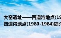 大窑遗址——四道沟地点(1980-1984)（关于大窑遗址——四道沟地点(1980-1984)简介）