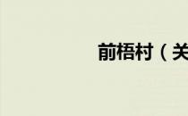 前梧村（关于前梧村）