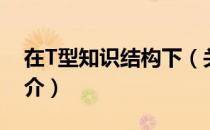 在T型知识结构下（关于在T型知识结构下简介）