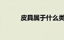 皮具属于什么类目（皮具分类）