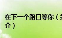 在下一个路口等你（关于在下一个路口等你简介）