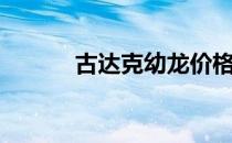 古达克幼龙价格（古达克幼龙）