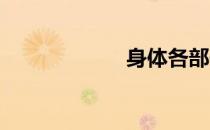 身体各部位肌肉图