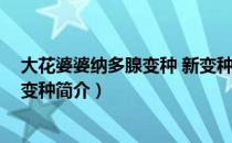 大花婆婆纳多腺变种 新变种（关于大花婆婆纳多腺变种 新变种简介）