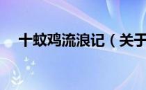 十蚊鸡流浪记（关于十蚊鸡流浪记简介）