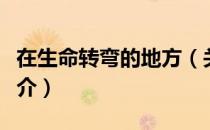 在生命转弯的地方（关于在生命转弯的地方简介）