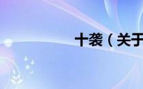 十袭（关于十袭简介）