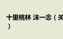 十里桃林 沫一念（关于十里桃林 沫一念简介）