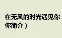 在无风的时光遇见你（关于在无风的时光遇见你简介）