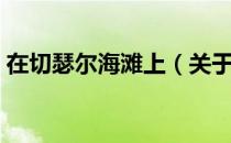 在切瑟尔海滩上（关于在切瑟尔海滩上简介）