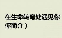 在生命转弯处遇见你（关于在生命转弯处遇见你简介）