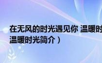 在无风的时光遇见你 温暖时光（关于在无风的时光遇见你 温暖时光简介）