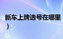 新车上牌选号在哪里（新车上牌选号在哪里选）