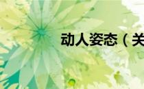动人姿态（关于动人姿态）