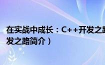 在实战中成长：C++开发之路（关于在实战中成长：C++开发之路简介）