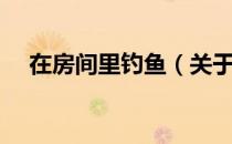 在房间里钓鱼（关于在房间里钓鱼简介）