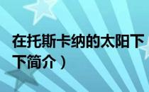 在托斯卡纳的太阳下（关于在托斯卡纳的太阳下简介）