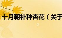 十月朝补种杏花（关于十月朝补种杏花简介）