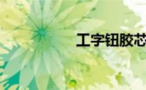 工字钮胶芯（工字钮）