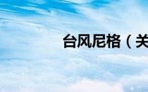 台风尼格（关于台风尼格）