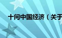 十问中国经济（关于十问中国经济简介）