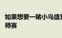 如果想要一睹小鸟盛宴千万不能错过葡萄牙大师赛