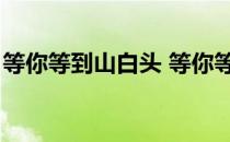 等你等到山白头 等你等到（等你等到山白头）