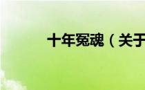 十年冤魂（关于十年冤魂简介）
