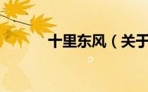 十里东风（关于十里东风简介）