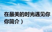 在最美的时光遇见你（关于在最美的时光遇见你简介）