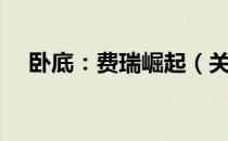 卧底：费瑞崛起（关于卧底：费瑞崛起）