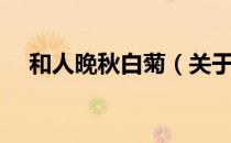 和人晚秋白菊（关于和人晚秋白菊介绍）