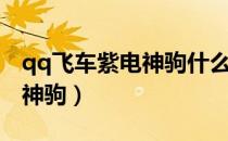 qq飞车紫电神驹什么时候出的（qq飞车紫电神驹）