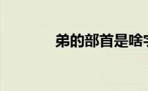 弟的部首是啥字（弟的部首）