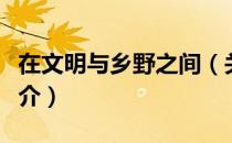 在文明与乡野之间（关于在文明与乡野之间简介）