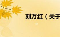 刘万红（关于刘万红介绍）