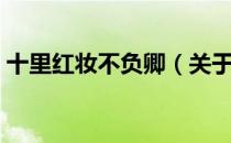 十里红妆不负卿（关于十里红妆不负卿简介）