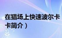 在猎场上快速波尔卡（关于在猎场上快速波尔卡简介）