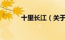 十里长江（关于十里长江简介）