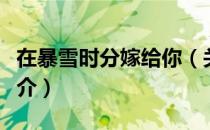在暴雪时分嫁给你（关于在暴雪时分嫁给你简介）