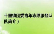 十里镇团委青年志愿服务队（关于十里镇团委青年志愿服务队简介）
