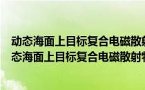 动态海面上目标复合电磁散射特性分析的优化算法（关于动态海面上目标复合电磁散射特性分析的优化算法）